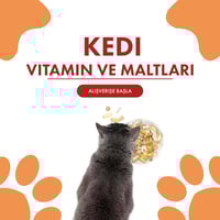 Kedi Vitamin ve Maltlar